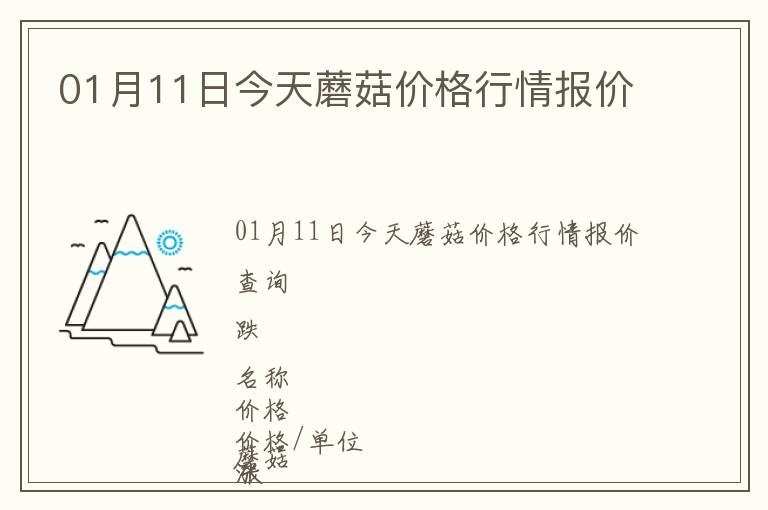 01月11日今天蘑菇價(jià)格行情報(bào)價(jià)