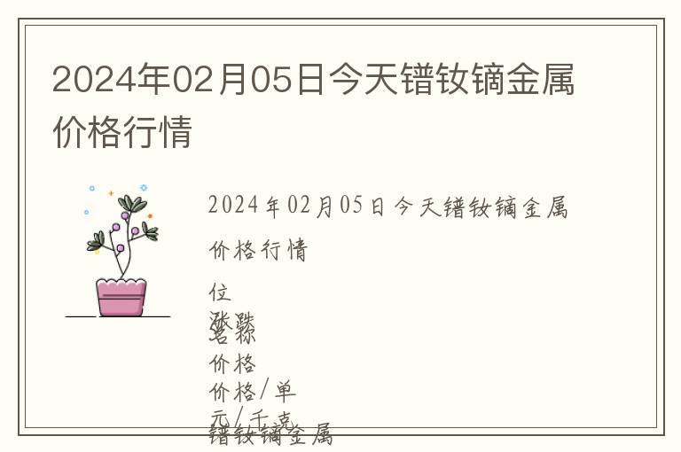 2024年02月05日今天鐠釹鏑金屬價(jià)格行情