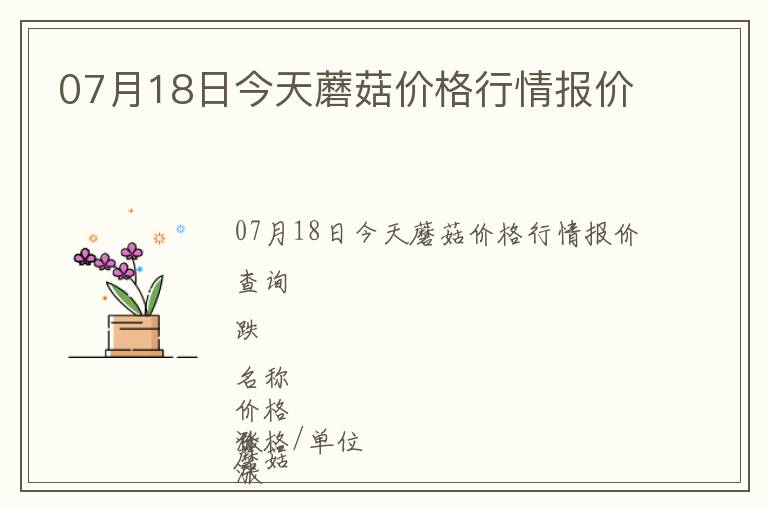 07月18日今天蘑菇價格行情報價