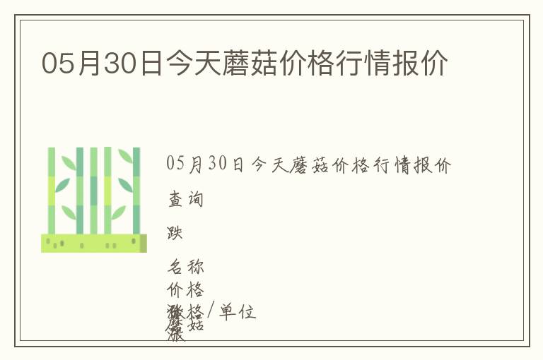 05月30日今天蘑菇價格行情報價