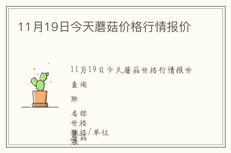 11月19日今天蘑菇價格行情報價