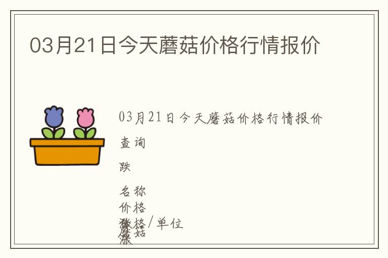 03月21日今天蘑菇價格行情報價