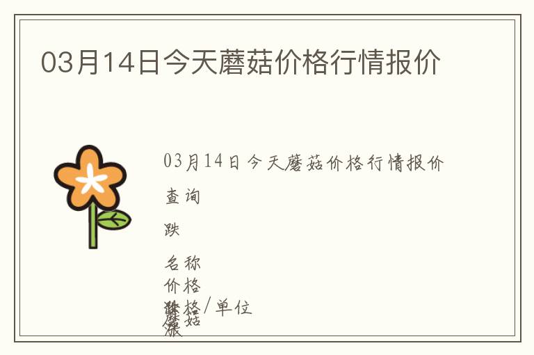 03月14日今天蘑菇價格行情報價