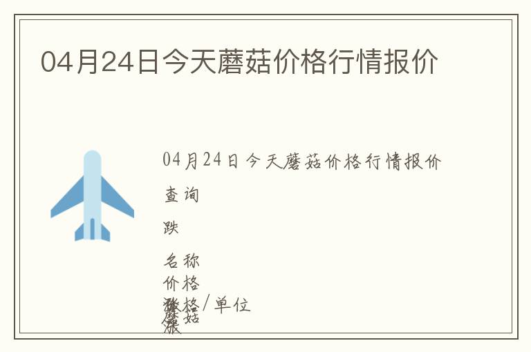 04月24日今天蘑菇價格行情報價