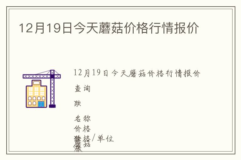 12月19日今天蘑菇價(jià)格行情報(bào)價(jià)