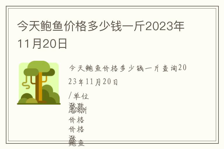 今天鮑魚(yú)價(jià)格多少錢一斤2023年11月20日