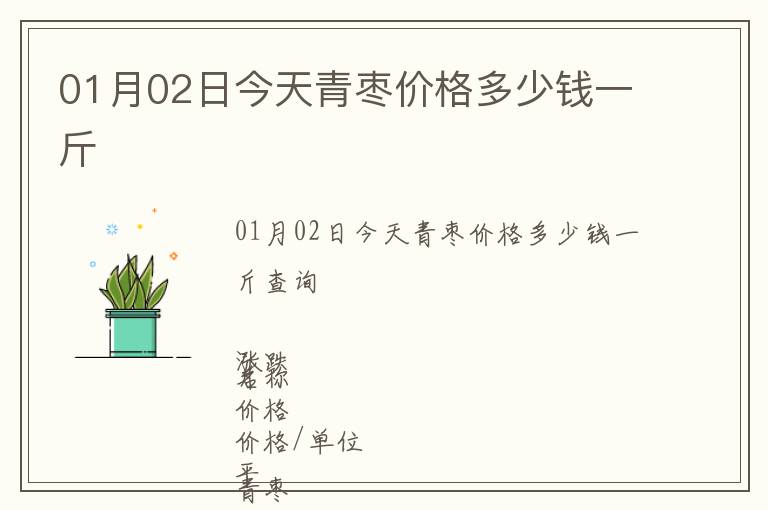 01月02日今天青棗價格多少錢一斤