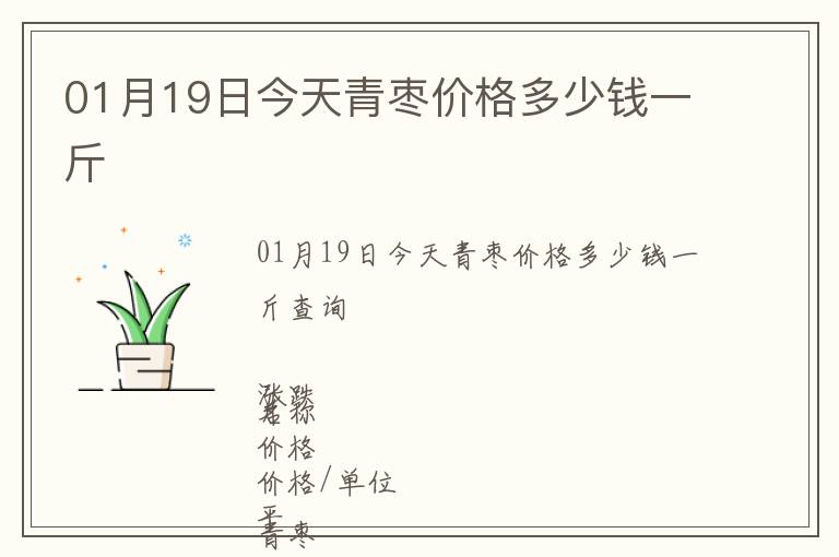 01月19日今天青棗價(jià)格多少錢(qián)一斤