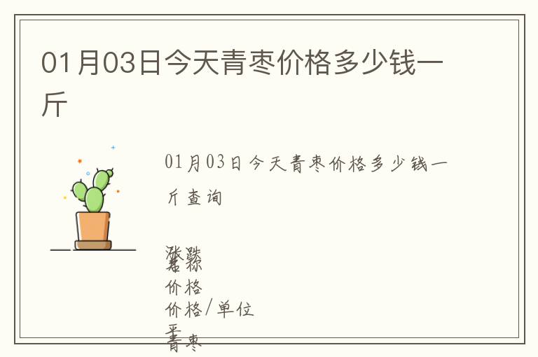 01月03日今天青棗價(jià)格多少錢(qián)一斤