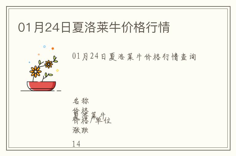 01月24日夏洛萊牛價格行情