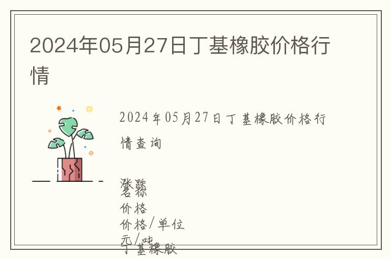 2024年05月27日丁基橡膠價格行情
