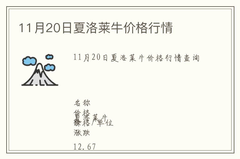 11月20日夏洛萊牛價(jià)格行情