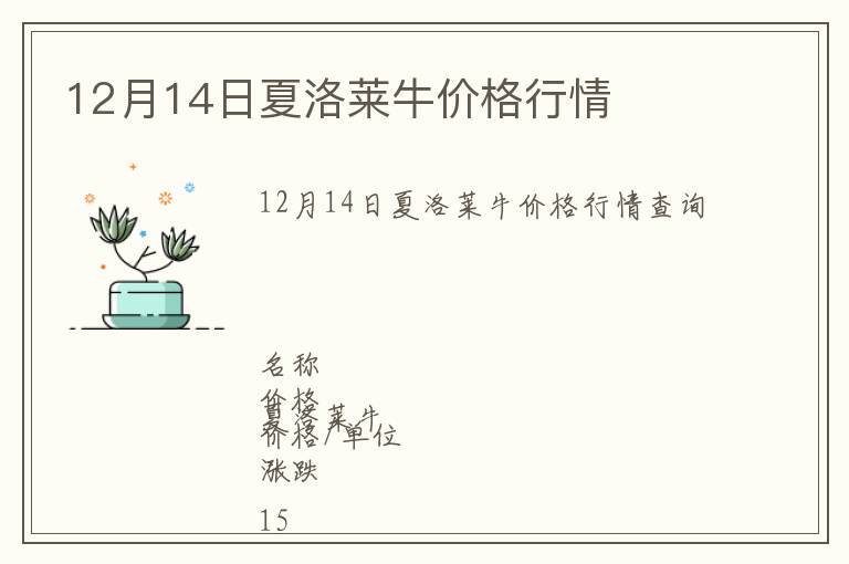 12月14日夏洛萊牛價格行情