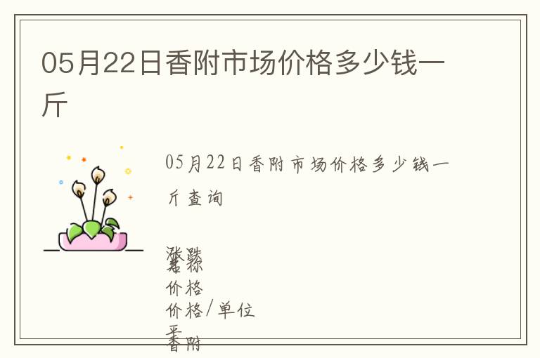 05月22日香附市場價格多少錢一斤