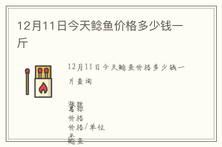 12月11日今天鯰魚價(jià)格多少錢一斤