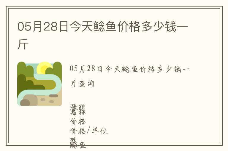 05月28日今天鯰魚價格多少錢一斤