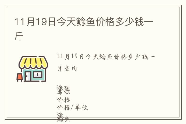 11月19日今天鯰魚價格多少錢一斤