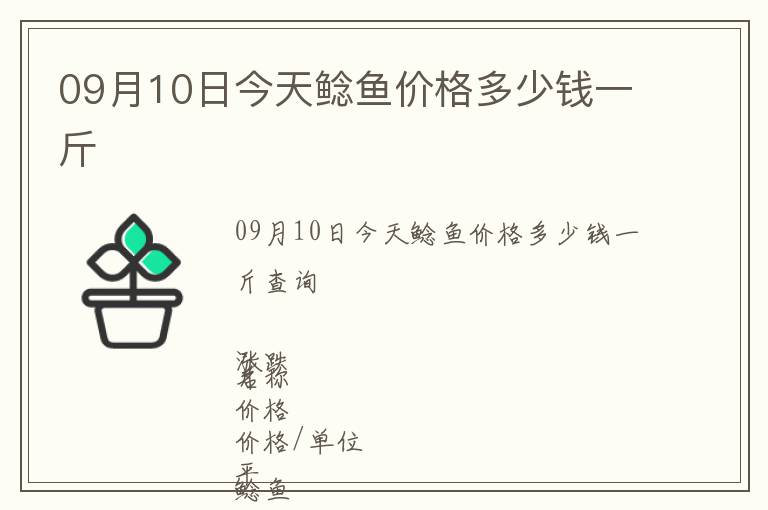 09月10日今天鯰魚價格多少錢一斤
