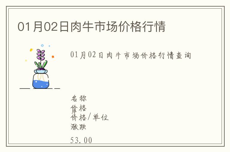01月02日肉牛市場(chǎng)價(jià)格行情