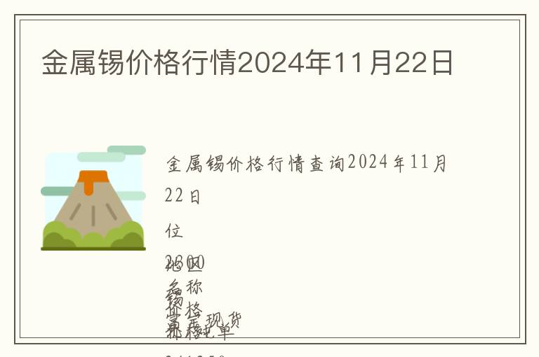 金屬錫價(jià)格行情2024年11月22日