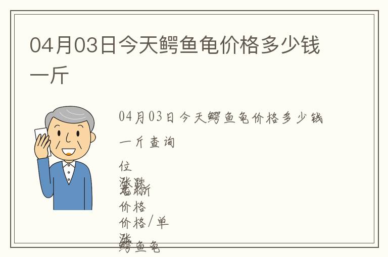 04月03日今天鱷魚龜價格多少錢一斤