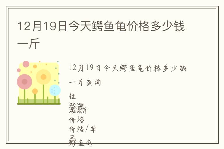 12月19日今天鱷魚龜價(jià)格多少錢一斤