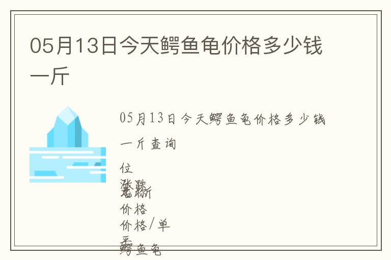 05月13日今天鱷魚龜價(jià)格多少錢一斤