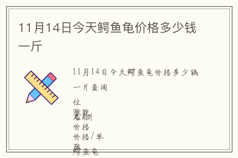 11月14日今天鱷魚龜價(jià)格多少錢一斤