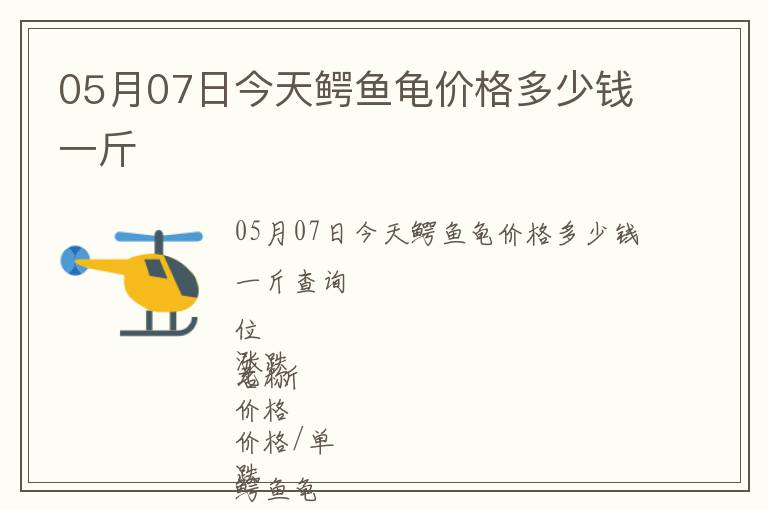 05月07日今天鱷魚龜價格多少錢一斤