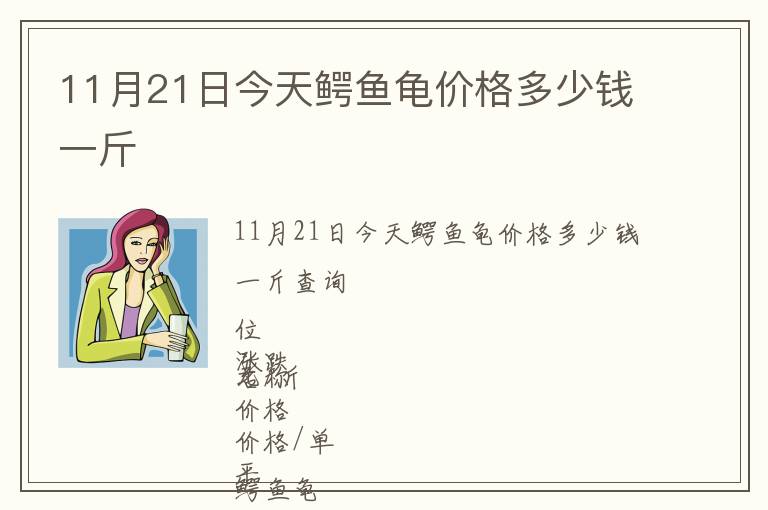 11月21日今天鱷魚(yú)龜價(jià)格多少錢(qián)一斤
