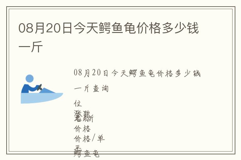 08月20日今天鱷魚龜價格多少錢一斤