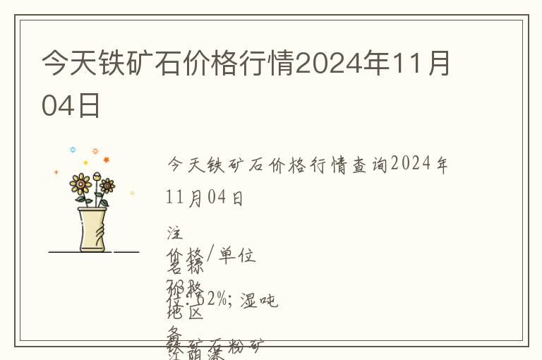 今天鐵礦石價(jià)格行情2024年11月04日