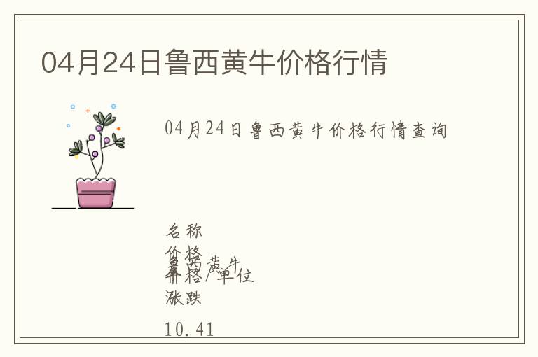04月24日魯西黃牛價格行情