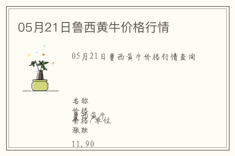 05月21日魯西黃牛價(jià)格行情