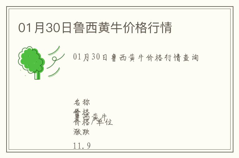 01月30日魯西黃牛價格行情