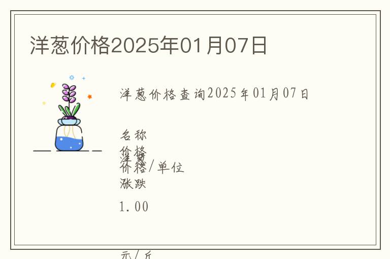 洋蔥價格2025年01月07日
