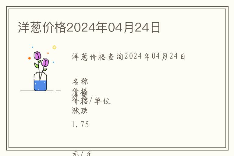 洋蔥價格2024年04月24日