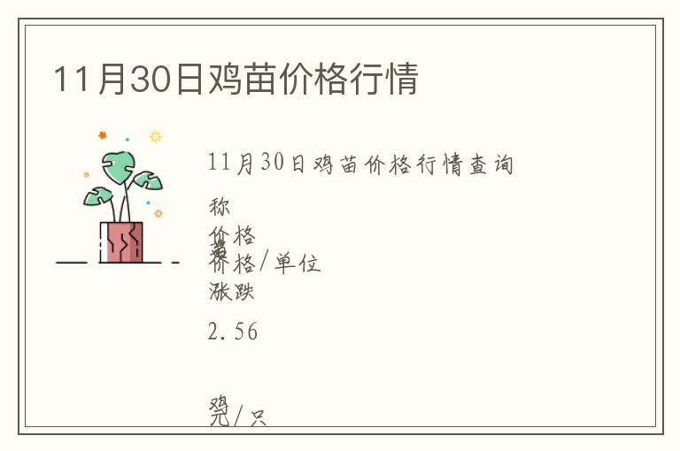 11月30日雞苗價(jià)格行情