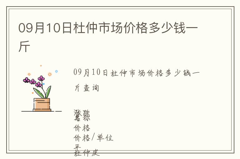 09月10日杜仲市場價格多少錢一斤