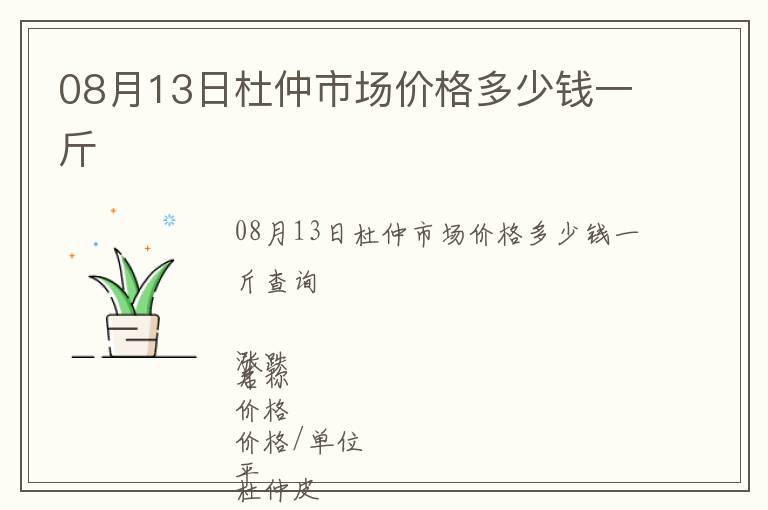 08月13日杜仲市場價格多少錢一斤