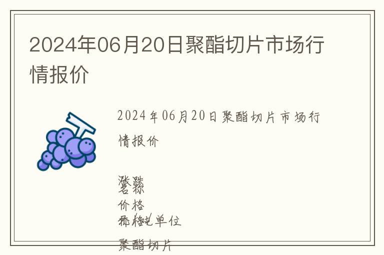 2024年06月20日聚酯切片市場行情報(bào)價(jià)