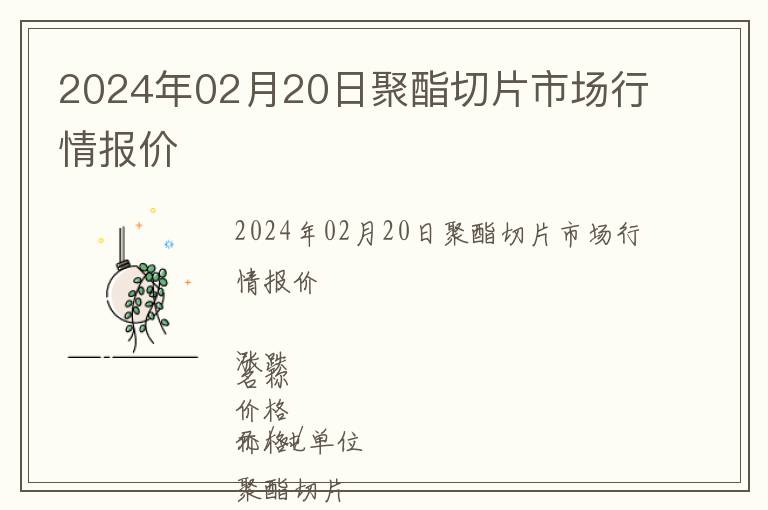2024年02月20日聚酯切片市場行情報價