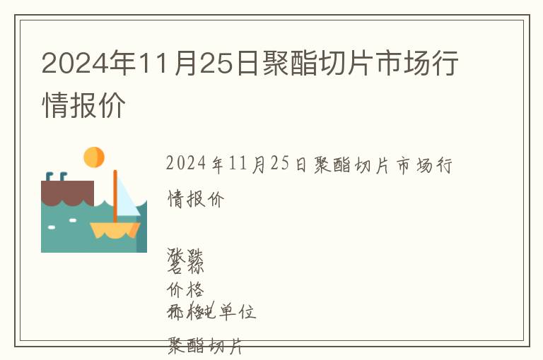2024年11月25日聚酯切片市場行情報價