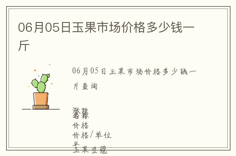 06月05日玉果市場價格多少錢一斤