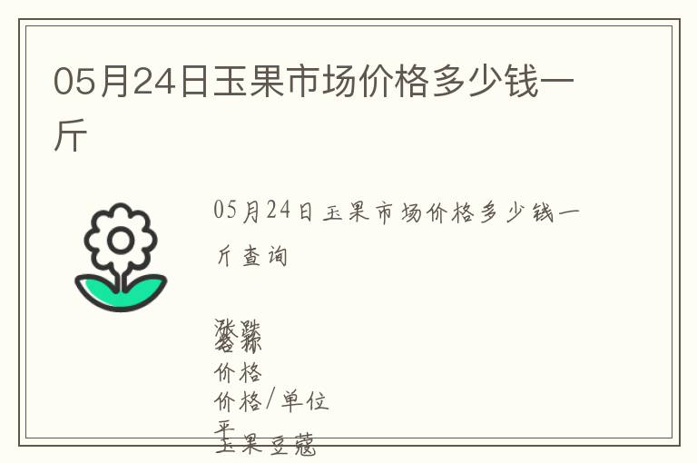 05月24日玉果市場價格多少錢一斤