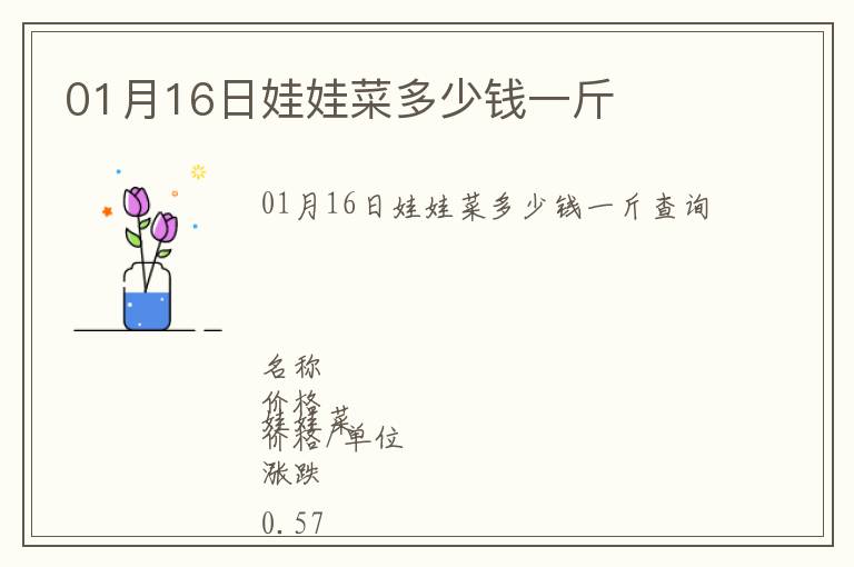 01月16日娃娃菜多少錢一斤