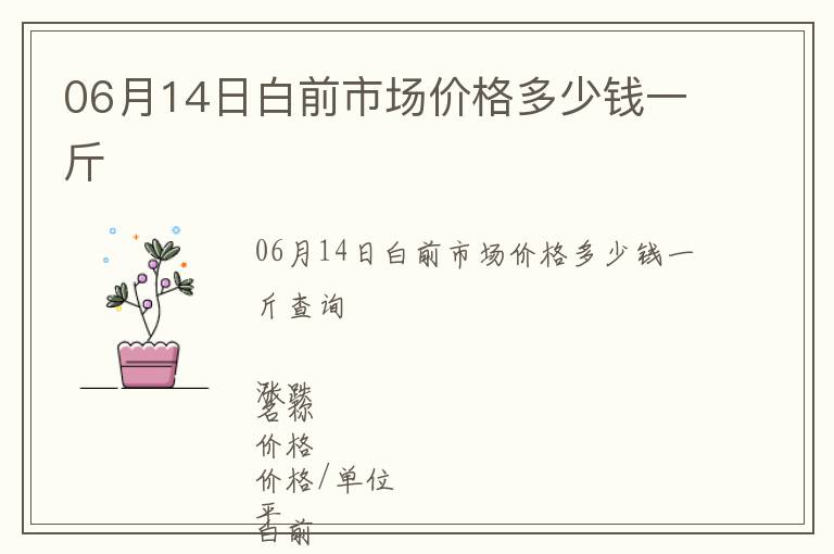 06月14日白前市場(chǎng)價(jià)格多少錢(qián)一斤