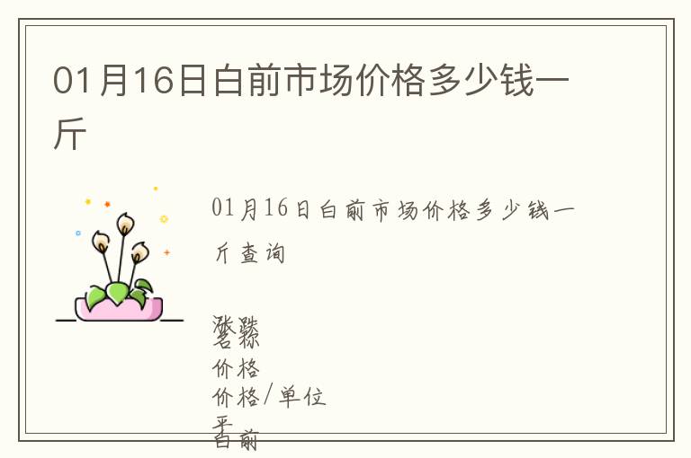 01月16日白前市場價格多少錢一斤