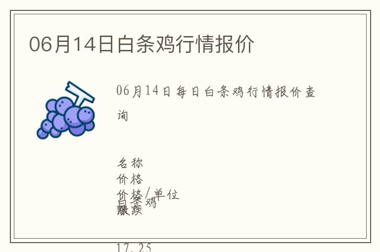 06月14日白條雞行情報價