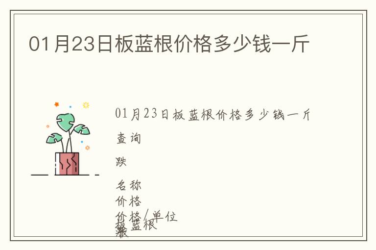 01月23日板藍根價格多少錢一斤